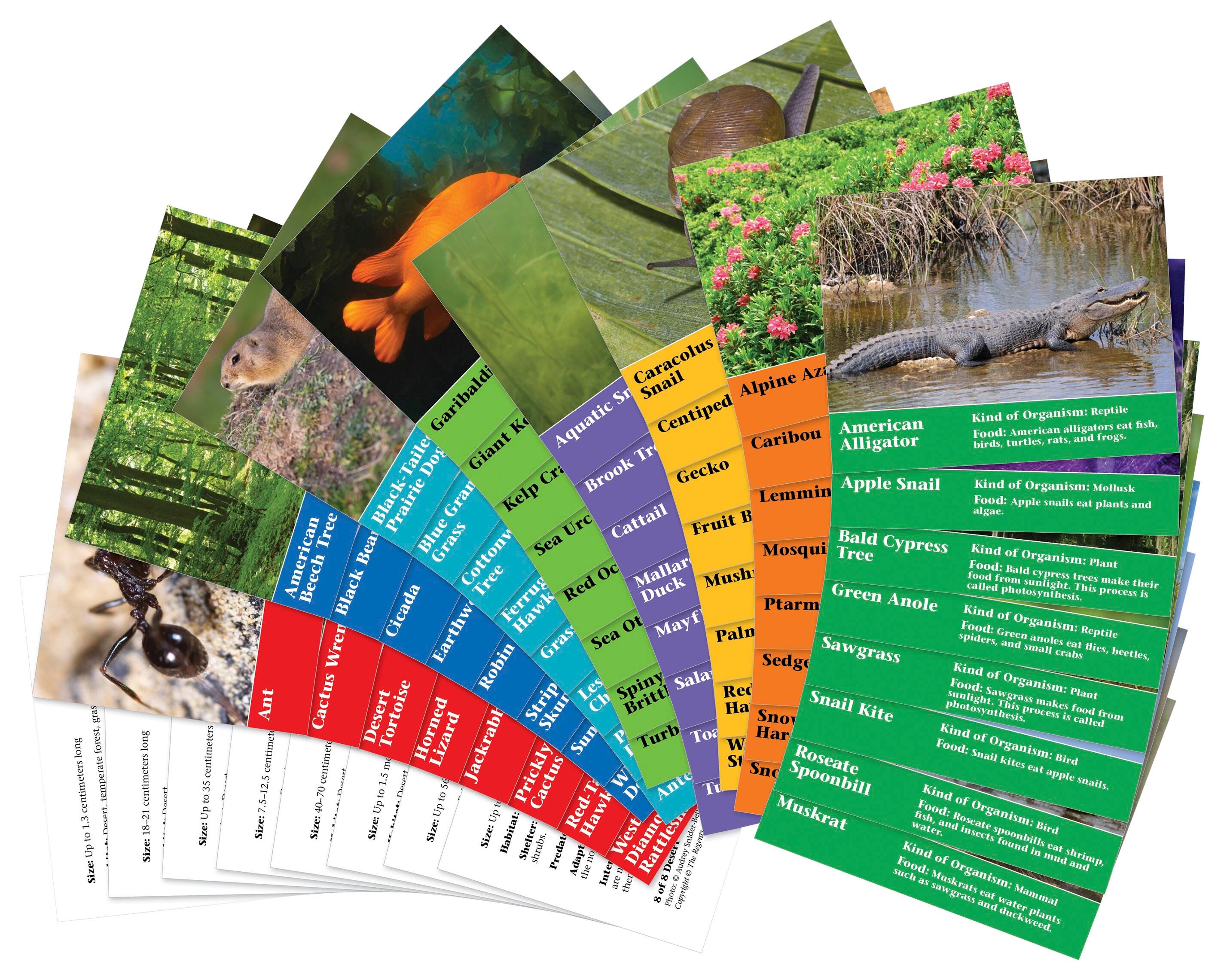 FOSS Habitat Organisims Cards, Set of 12 2144247